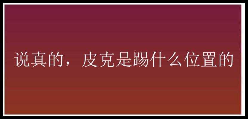 说真的，皮克是踢什么位置的