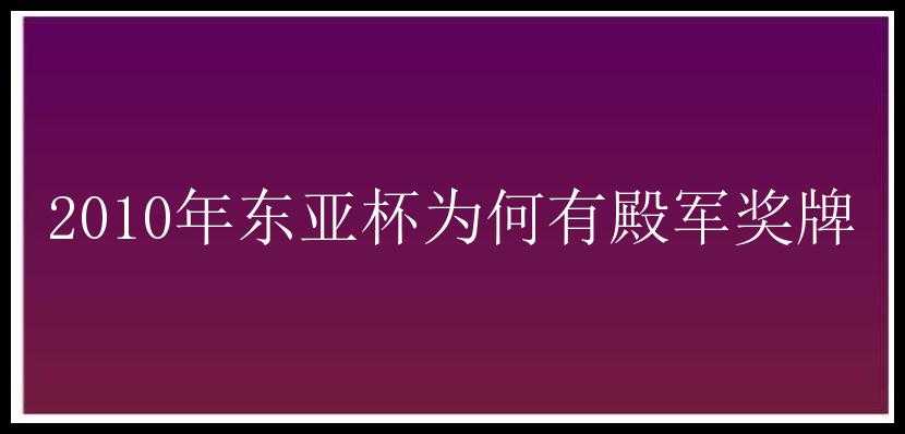 2010年东亚杯为何有殿军奖牌