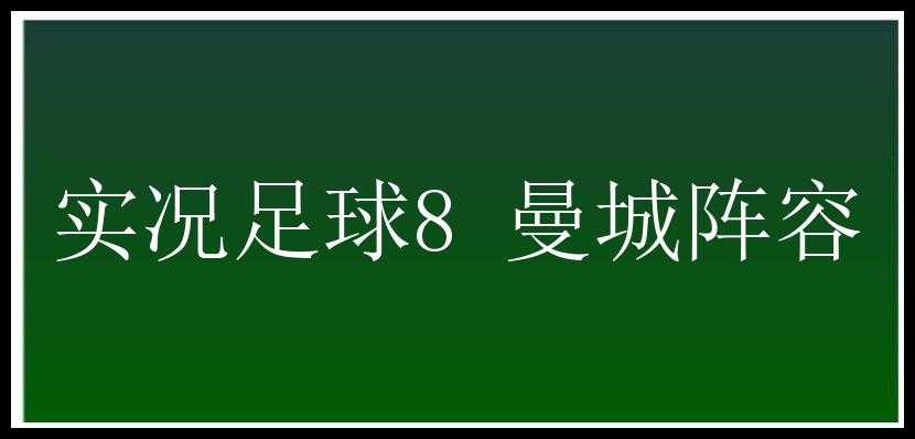 实况足球8 曼城阵容