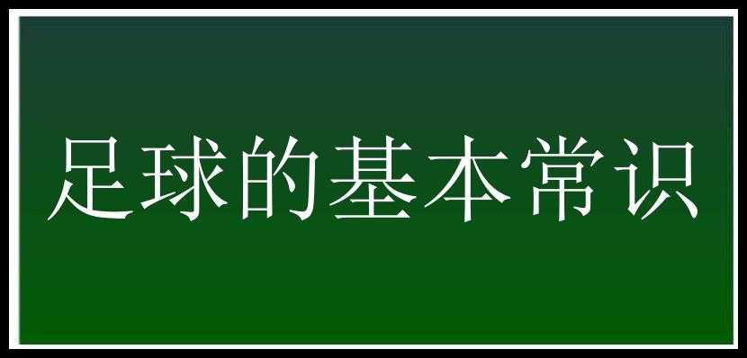 足球的基本常识