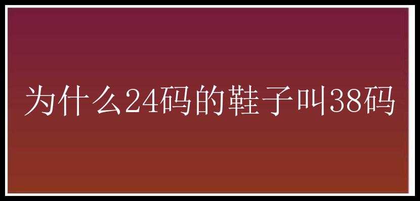 为什么24码的鞋子叫38码