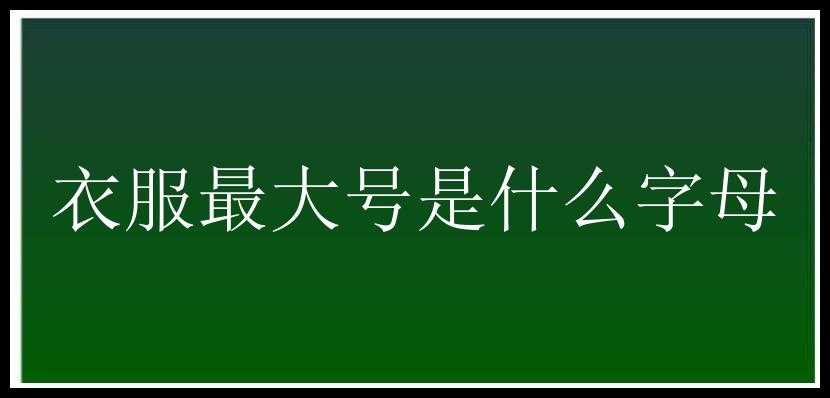 衣服最大号是什么字母