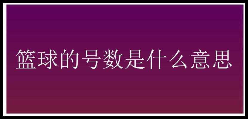 篮球的号数是什么意思