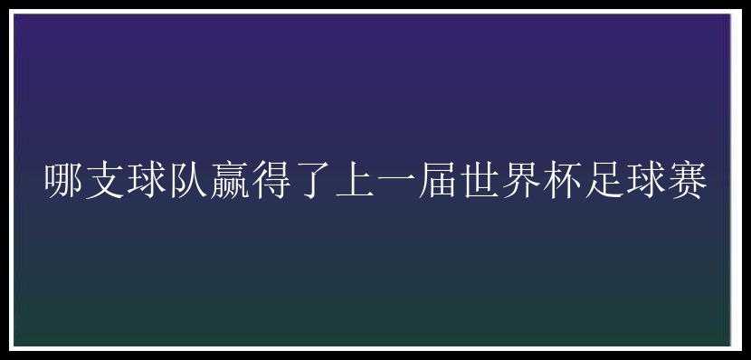 哪支球队赢得了上一届世界杯足球赛