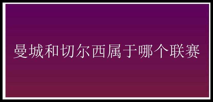 曼城和切尔西属于哪个联赛