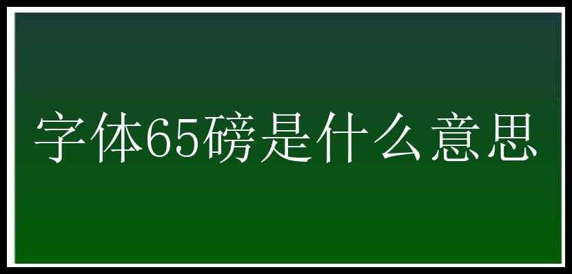 字体65磅是什么意思