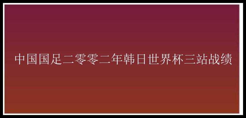 中国国足二零零二年韩日世界杯三站战绩