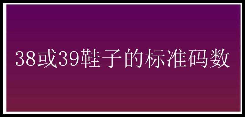 38或39鞋子的标准码数