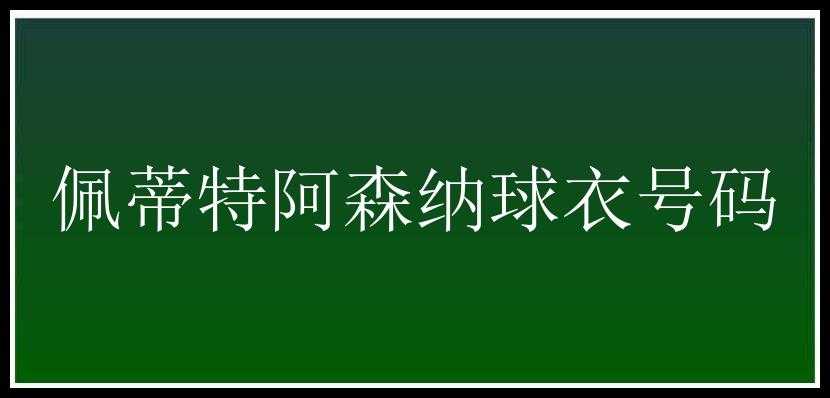 佩蒂特阿森纳球衣号码