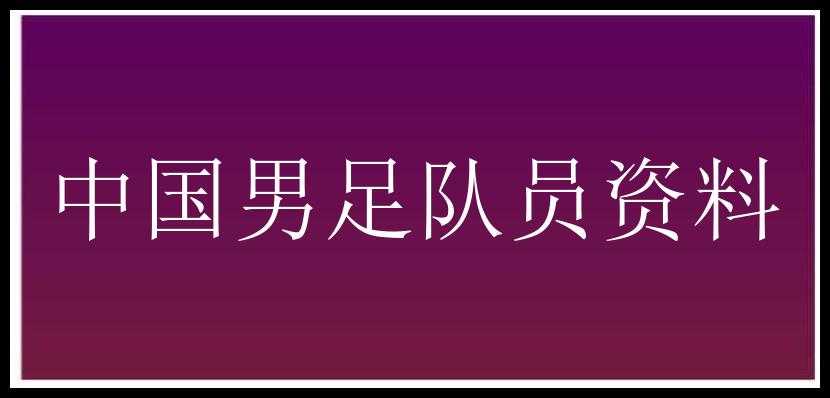 中国男足队员资料