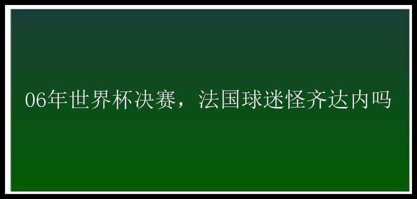 06年世界杯决赛，法国球迷怪齐达内吗