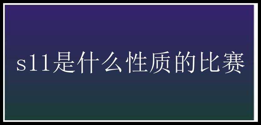 s11是什么性质的比赛