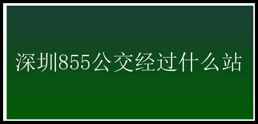 深圳855公交经过什么站