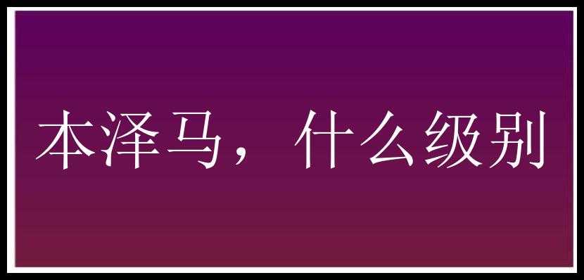 本泽马，什么级别