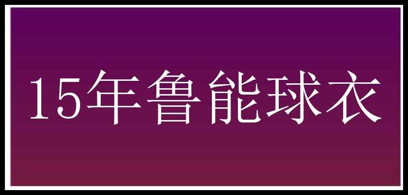 15年鲁能球衣