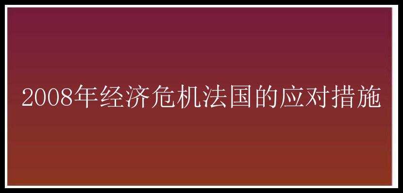 2008年经济危机法国的应对措施