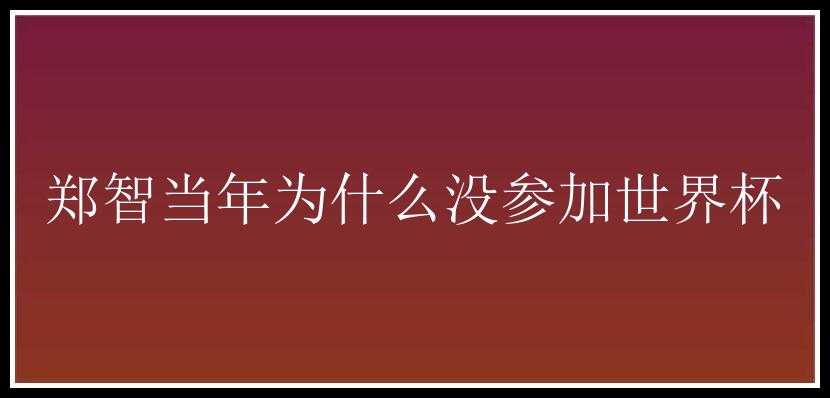 郑智当年为什么没参加世界杯