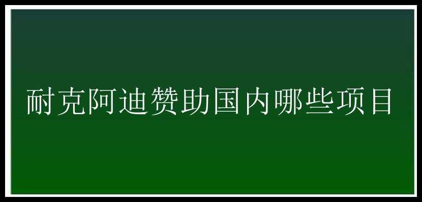 耐克阿迪赞助国内哪些项目