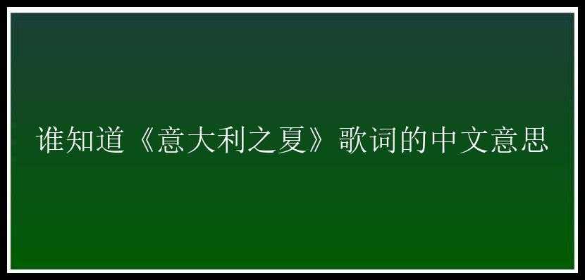 谁知道《意大利之夏》歌词的中文意思