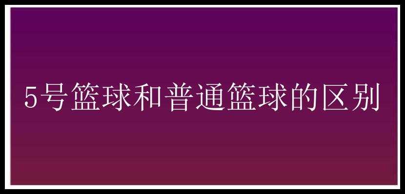 5号篮球和普通篮球的区别