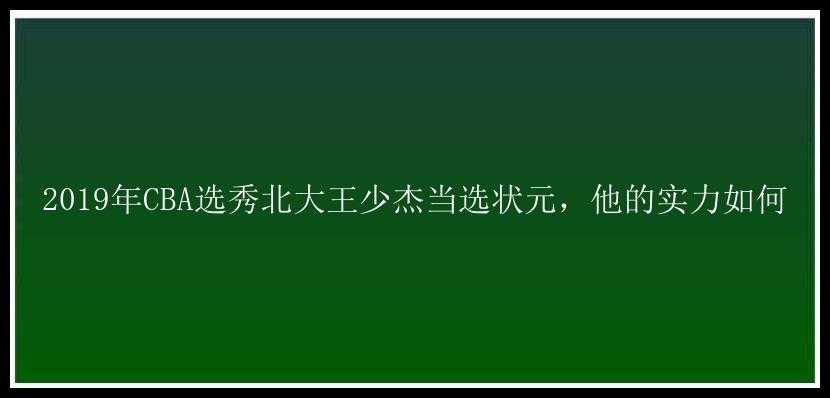 2019年CBA选秀北大王少杰当选状元，他的实力如何