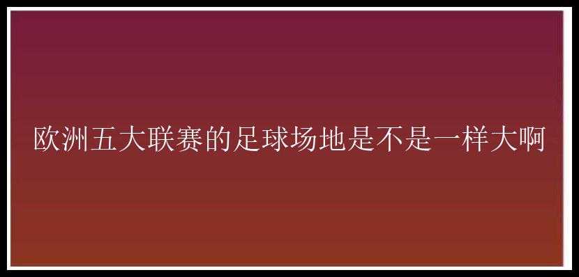 欧洲五大联赛的足球场地是不是一样大啊