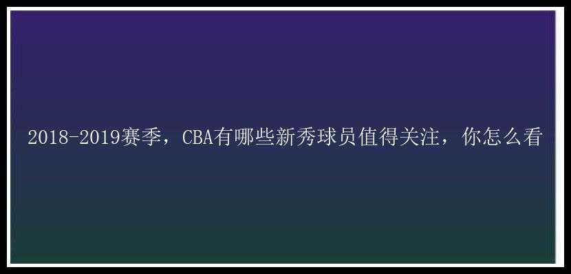 2018-2019赛季，CBA有哪些新秀球员值得关注，你怎么看