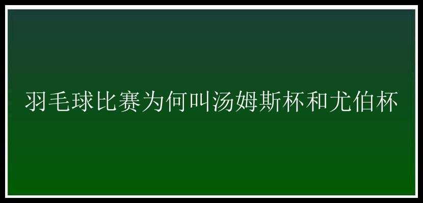 羽毛球比赛为何叫汤姆斯杯和尤伯杯