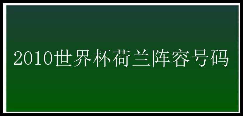 2010世界杯荷兰阵容号码