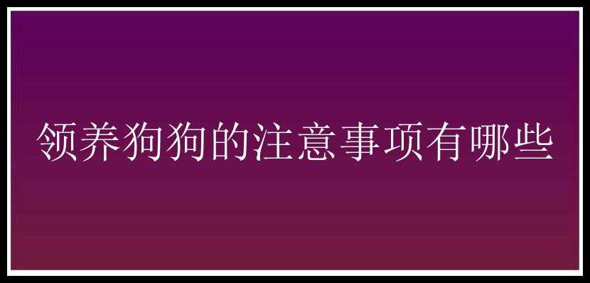 领养狗狗的注意事项有哪些