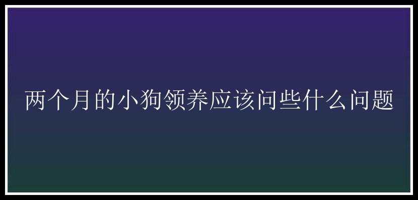 两个月的小狗领养应该问些什么问题