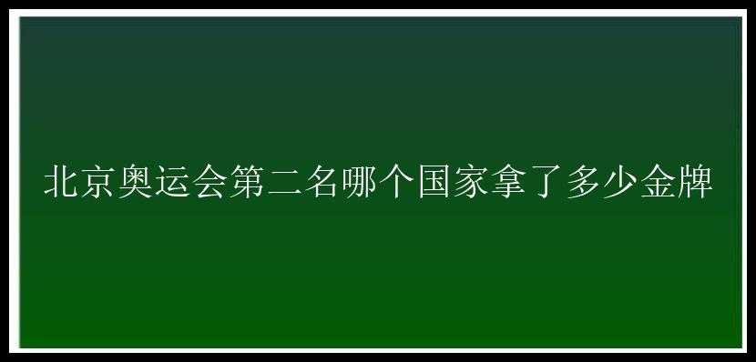 北京奥运会第二名哪个国家拿了多少金牌