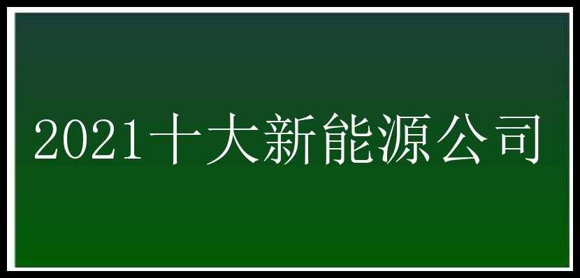 2021十大新能源公司