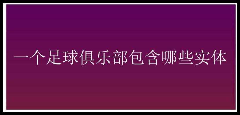 一个足球俱乐部包含哪些实体