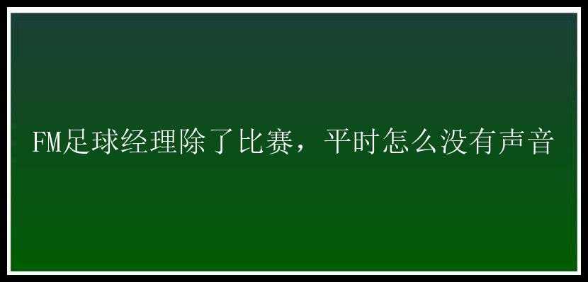 FM足球经理除了比赛，平时怎么没有声音