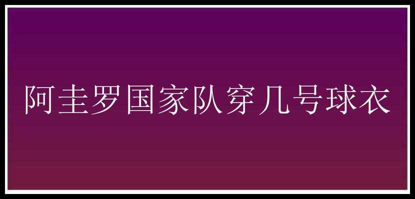 阿圭罗国家队穿几号球衣