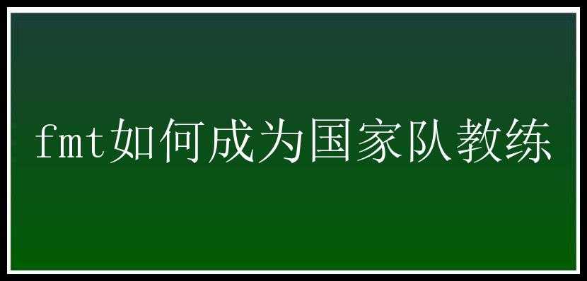 fmt如何成为国家队教练