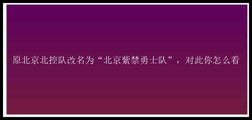 原北京北控队改名为“北京紫禁勇士队”，对此你怎么看