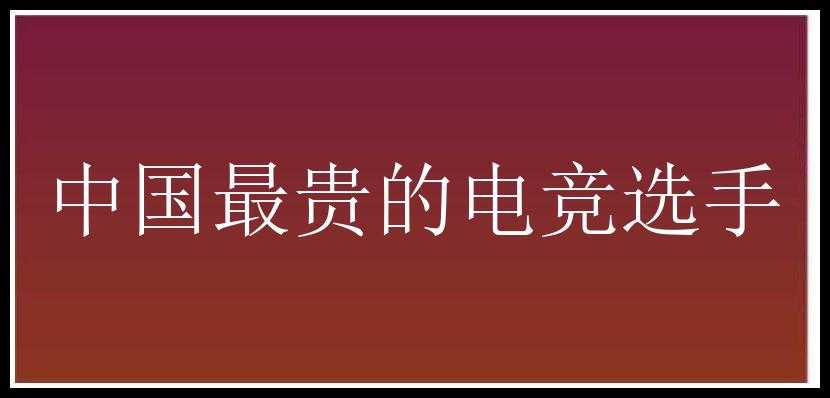 中国最贵的电竞选手