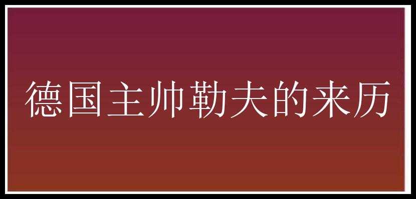 德国主帅勒夫的来历