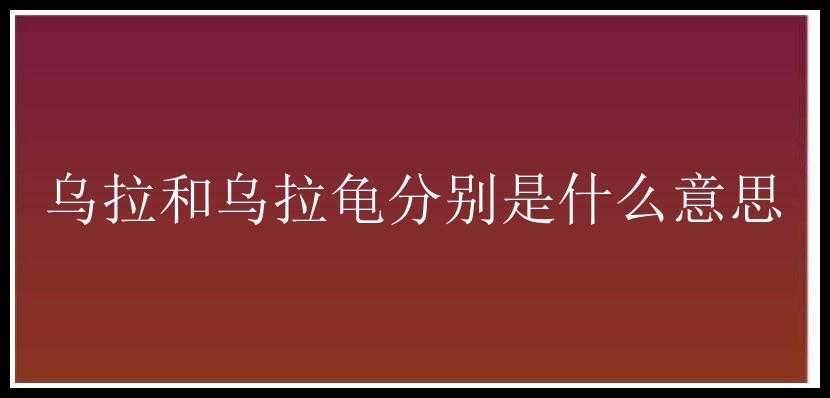 乌拉和乌拉龟分别是什么意思