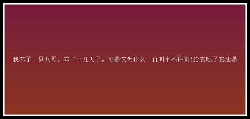 我养了一只八哥。养二十几天了。可是它为什么一直叫个不停啊!给它吃了它还是