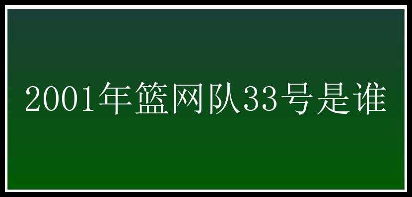 2001年篮网队33号是谁