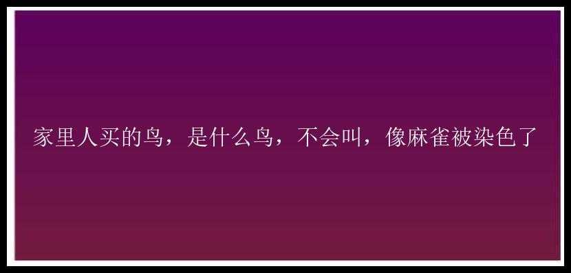 家里人买的鸟，是什么鸟，不会叫，像麻雀被染色了