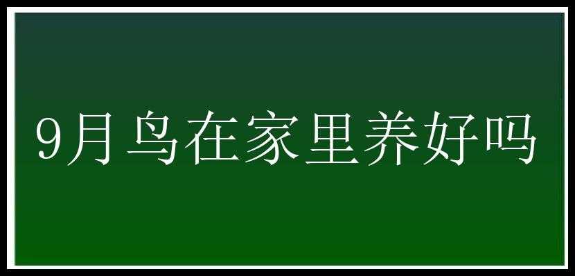 9月鸟在家里养好吗