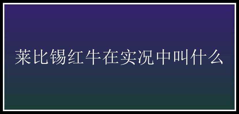 莱比锡红牛在实况中叫什么