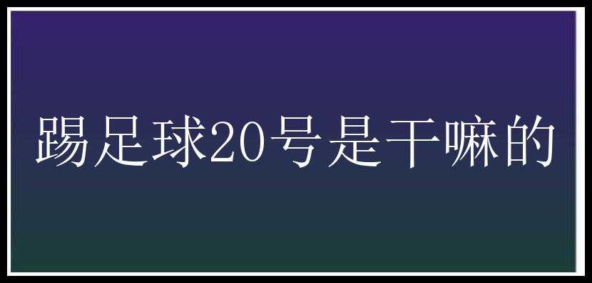 踢足球20号是干嘛的