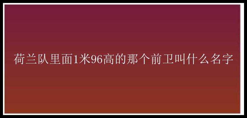 荷兰队里面1米96高的那个前卫叫什么名字