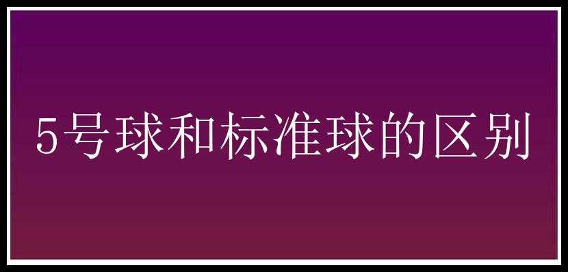 5号球和标准球的区别