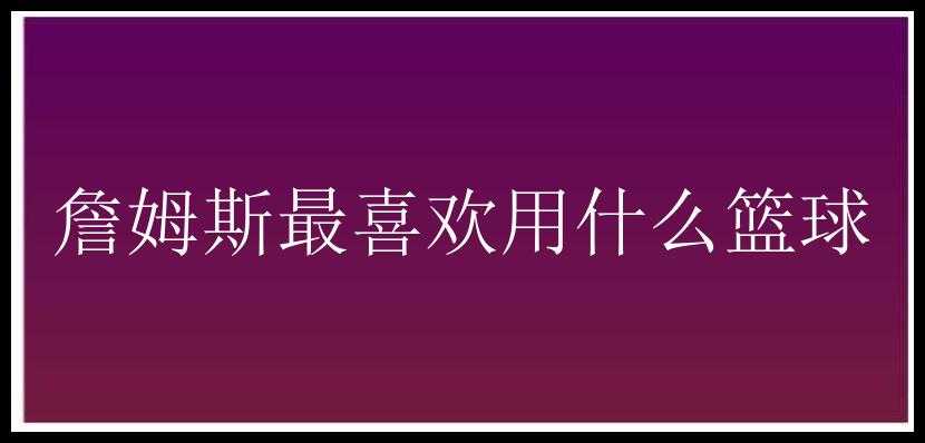 詹姆斯最喜欢用什么篮球